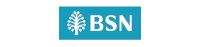 BSN