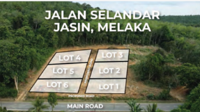 Jalan Selandar, Jasin Melaka
